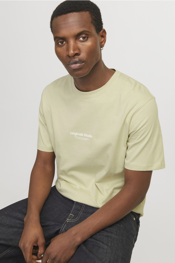 JORVESTERBRO TEE SS CREW NECK NOOS 12240121 Celadon Tint